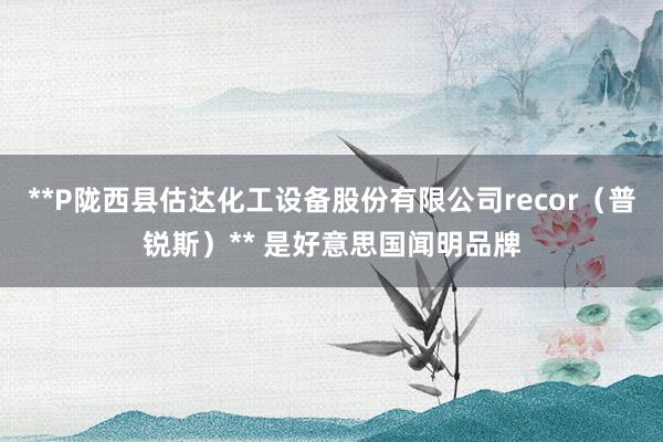 **P陇西县估达化工设备股份有限公司recor(普锐斯)** 是好意思国闻明品牌